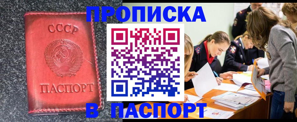 прописка для школы в Чехове